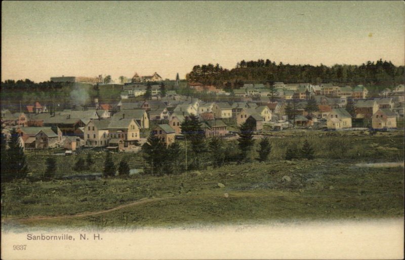 Sanbornville NH General View c1905 Unused Postcard