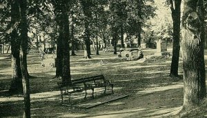 Postcard RPPC View of Elm Park in Chatham, New Brunswick, Canada. S2