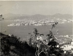 china, HONG KONG, Panorama (1950s) Real Photo (1)