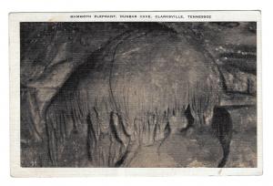 TN Clarksville Mammoth Elephant Dunbar Cave Vintage EKC co Postcard