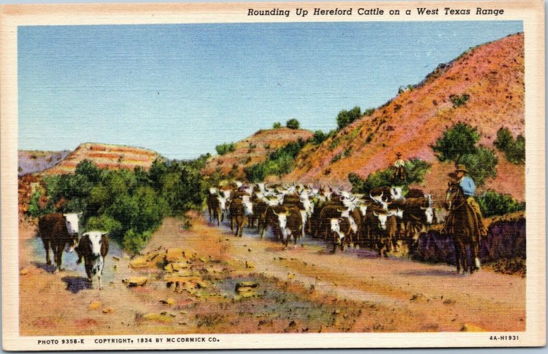 postcard Rounding Up Herefored Cattle on a West Texas Range