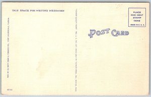 Hollywood Beach Florida 1940s Postcard Riding The Surf