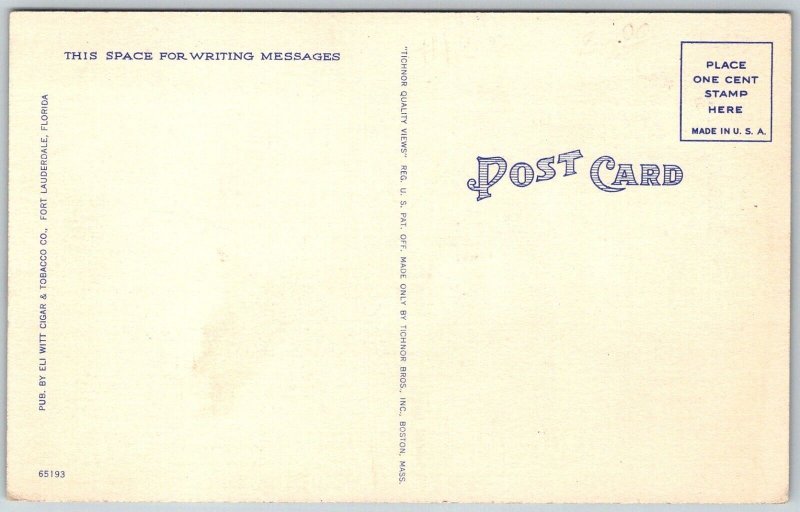 Hollywood Beach Florida 1940s Postcard Riding The Surf