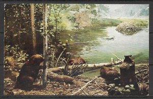 Illinois, Chicago - American Beaver - Natural History Museum -[IL-078]