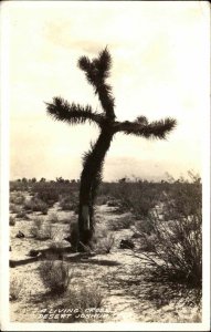 Pomona CA Frasher's Real Photo Joshua Tree Living Cross RPPC Vintage Postcard