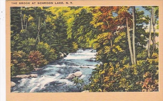 New York The Brook At Schroon Lake 1959