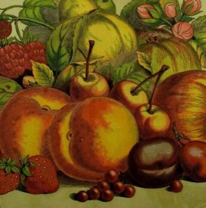 1880's Big Victorian Scrap Colorful Fruit Plums Peaches Cherries Fab! 7R