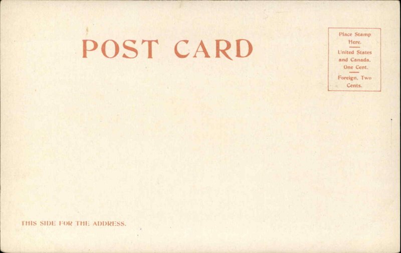 Saratoga New York NY Horse Racing Race Course c1910 Detroit Publishing Postcard