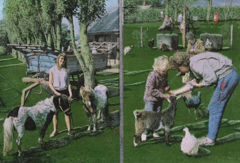 Reedham Norfolk Farm Real Metallic Shine Postcard