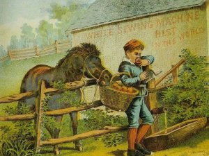 White's Sewing Machine, Pony & Boy Eating Basket of Apples Farm Scene C2