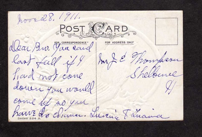 Merry Christmas Greetings Bird Holly 1911 Postcard