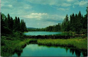Beaver Dam Algonquin Provincial Park Ontario Canada Postcard PM WOB Note VTG 