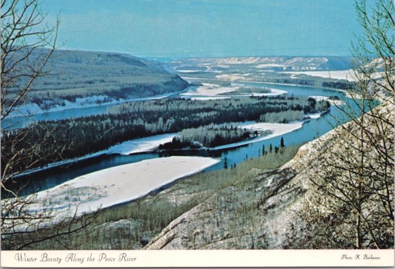 Peace River Valley BC British Columbia Winter Scene Unused Vintage Postcard D53