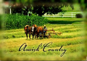 Pennsylvania Greetings From The Amish Country Farming Scene