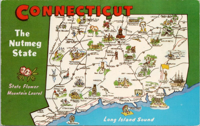 Connecticut Map Large Letter Nutmeg State Mountain Laurel Flower Postcard G45