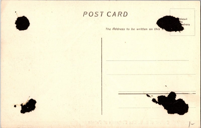 Mint India Punjab Patiala Real Picture Postcard RPPC Maharaja Assembly