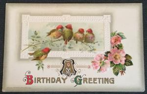 Postcard Embossed Unused writing on back “A Birthday Greeting” Birds LB