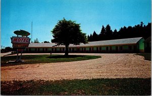 Viteks Motel St Ignace Michigan MI Postcard VTG UNP Vintage Unused Chrome 