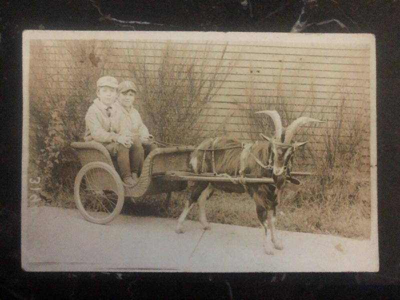 Mint USA RPPC Postcard Twins In A Goat Cart