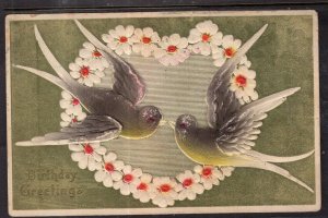 Birthday Greetings Birds