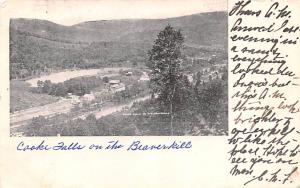 Cook Falls on the Beaverkill Cooks Falls NY 1905