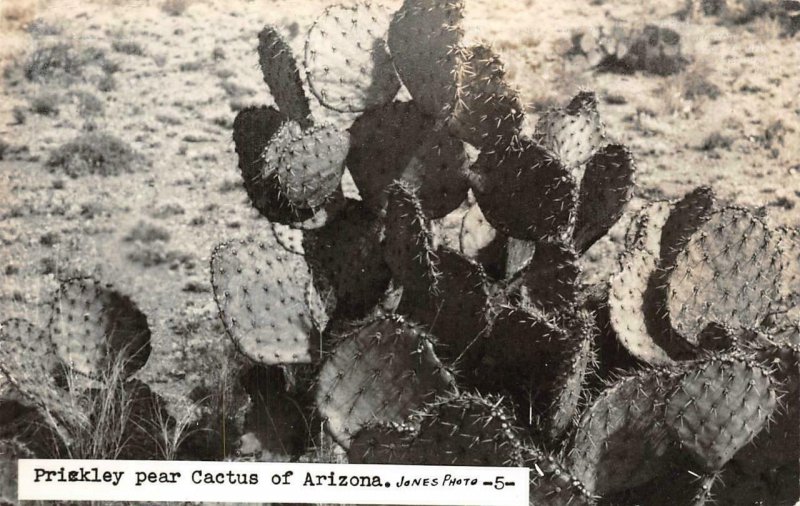 RPPC, Arizona AZ    PRICKLY PEAR CACTUS   ca1940's Jones Photo Postcard