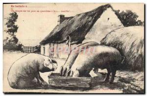 Old Postcard Pig Pig In ballad