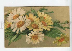 444014 C. KLEIN Flowers CAMOMILE CHAMOMILE Vintage postcard RUSSIA