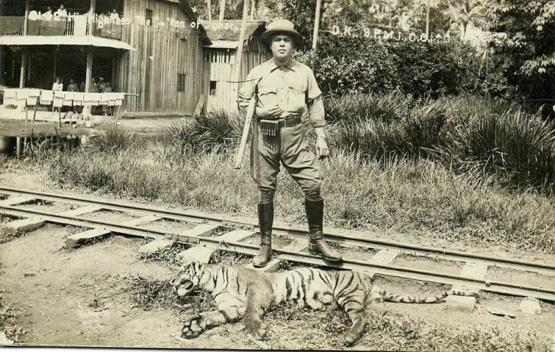 malay malaysia, JOHOR JOHORE, Sultan Ibrahim Hunting Trophy Tiger (1920s) RPPC