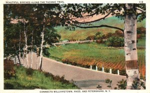 Vintage Postcard 1930's Beautiful Birches Taconic Trail Connect Petersburg NY