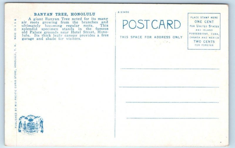 HONOLULU, HI Hawaii ~ The Famous BANYAN TREE  c1910s Cars  Postcard