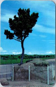 Postcard NATURE SCENE Between Cheyenne & Laramie Wyoming WY AL4200