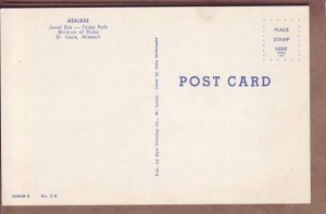 MO St Louis Jewel Box Forest Park