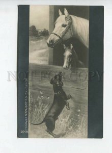 438386 DACHSHUND & HORSE Stable by WECZERZICK vintage Russian postcard