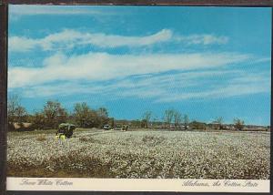 Snow White Cotton AL Postcard BIN 636