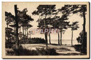 Old Postcard Arcachon Cote D & # 39Argent At Parc Des Abatilles