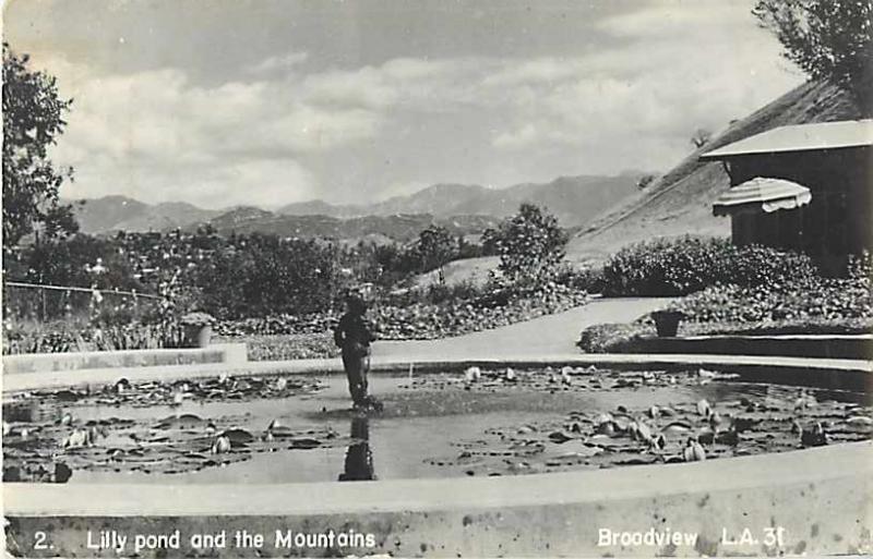 RPPC of Lily Pond & Mountains, Broadview, Los Angeles California CA