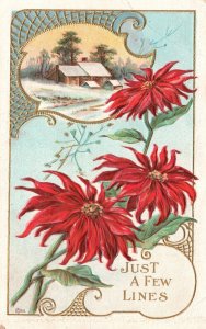 Vintage Postcard 1912 Just A Few Lines Red Flowers Landscape Design Souvenir