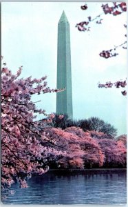 Postcard - The Washington Monument - Washington, District of Columbia