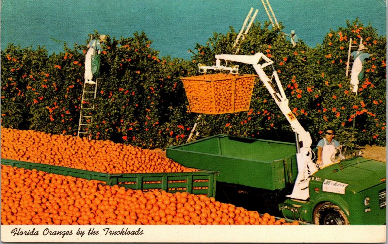 Vtg 1960s Florida Orange by the Truckloads Unused Chrome Postcard