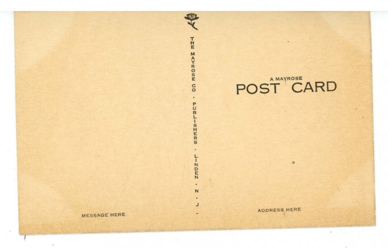 DE - Wilmington. Delaware Memorial Bridge from Above