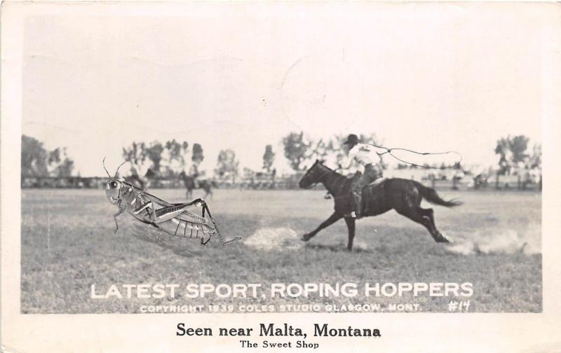 D5/ Exaggeration Real Photo RPPC Postcard Malta Montana 1940 Rodeo Grasshopper 3