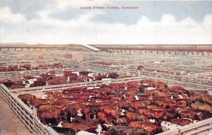 Chicago Illinois~Union Stock Yards~Overlooking Cattle Pens~c1910 Postcard