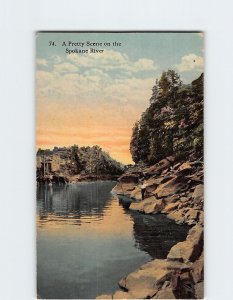 Postcard A Pretty Scene on the Spokane River USA