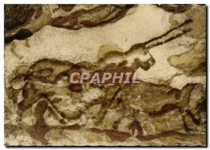 Postcard Modern Prehistoric Cave of Lascaux Montignac sur Vezere