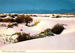 New Mexico White Sands National Monument Sand Dunes