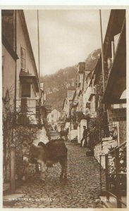 Devon Postcard - High Street - Clovelly - Real Photograph - TZ11627