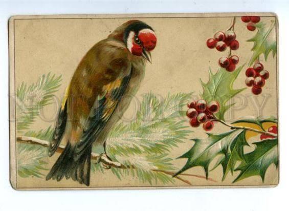 143731 HUNT Bird on Winter Tree NEW YEAR Vintage EMBOSSED PC