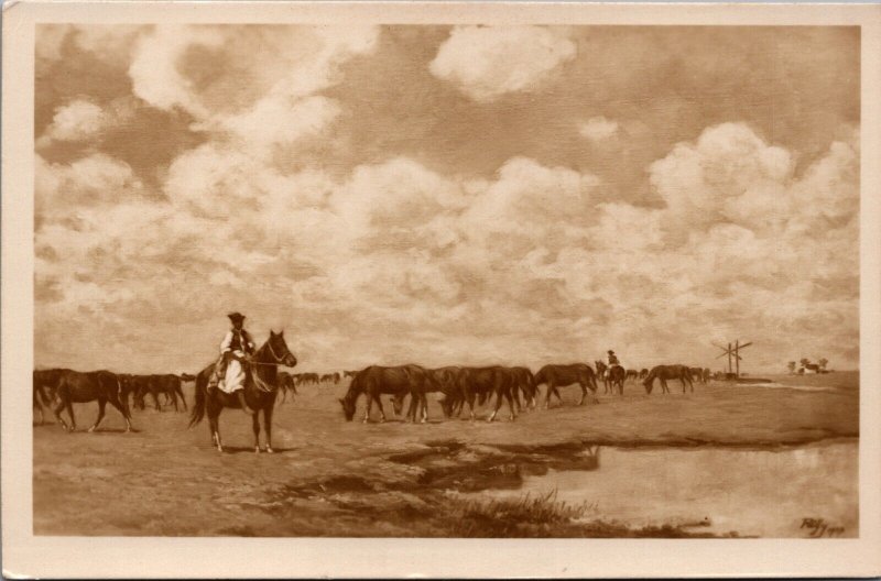 Hungary Hortobagy National Park The Strud RPPC C122