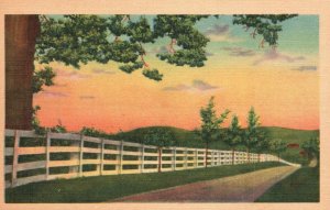 Vintage Postcard 1930's Roadway Scene White Fenced Lined at Dusk